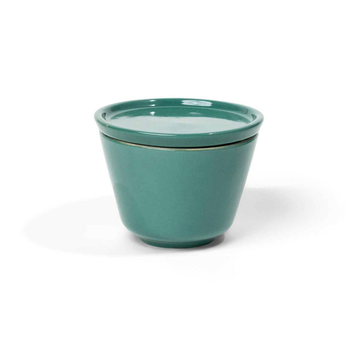 The Daily Drip - Ivory Tumbler with Lid - Forest Green Gloss