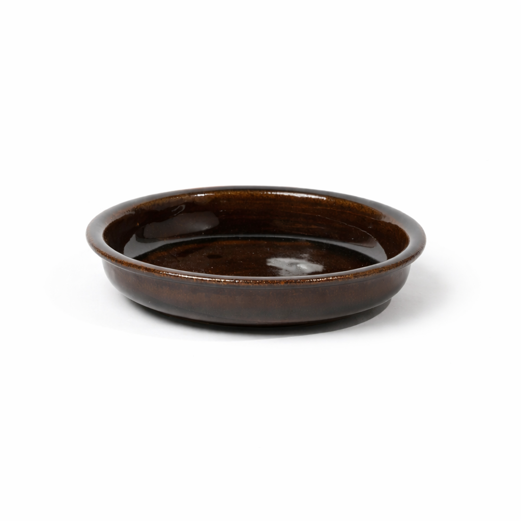 Mahogany Gloss Shallow Bowl | 300 ML