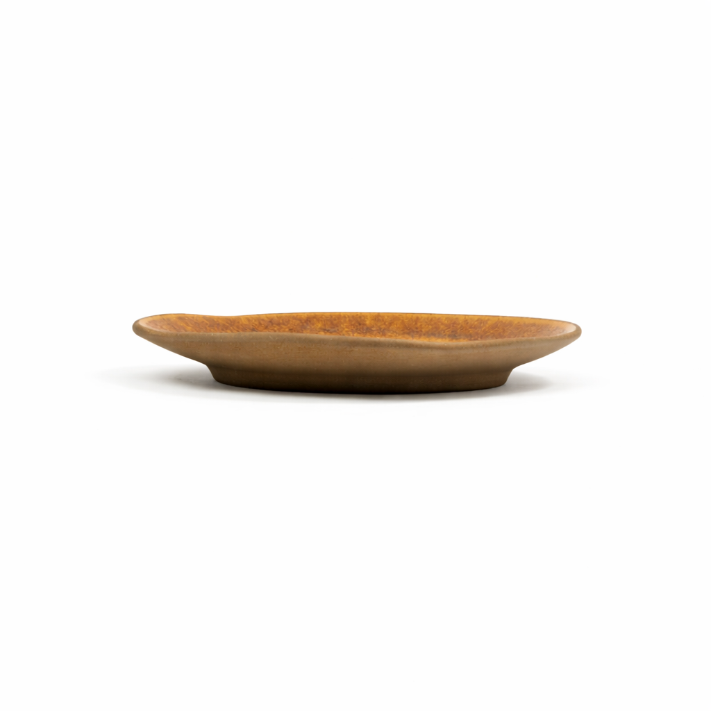 Terra Ember Organic Large Plate | 11 inch