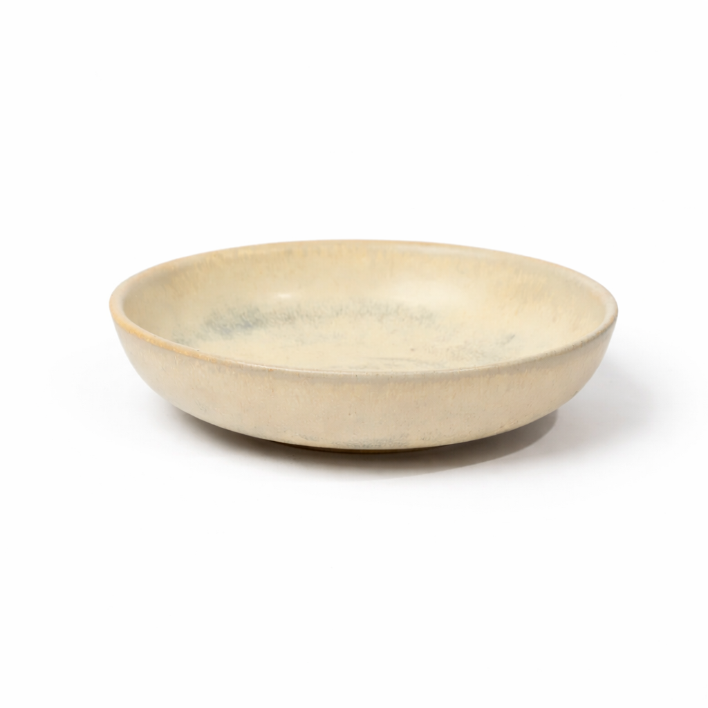 Slate Wash Shallow Studio Bowl